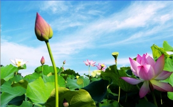 Hết Tết rồi, xắn tay áo lên đi làm thôi!